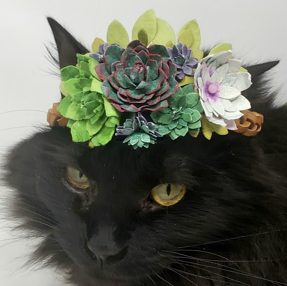 SOLD Boho Succulent Cat Flower Crown